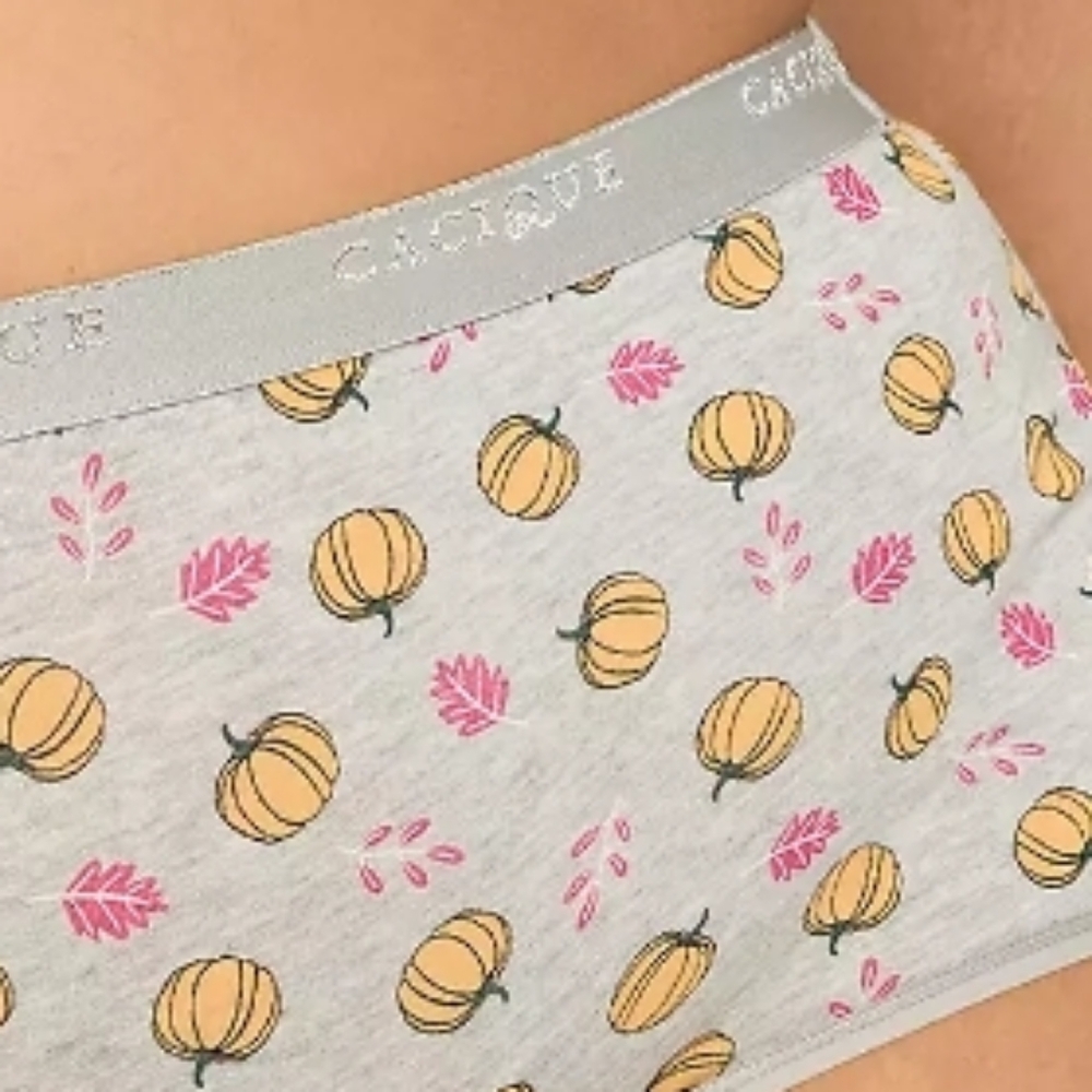 Cacique 18/20 Cotton Full Brief - Picture 1 of 10